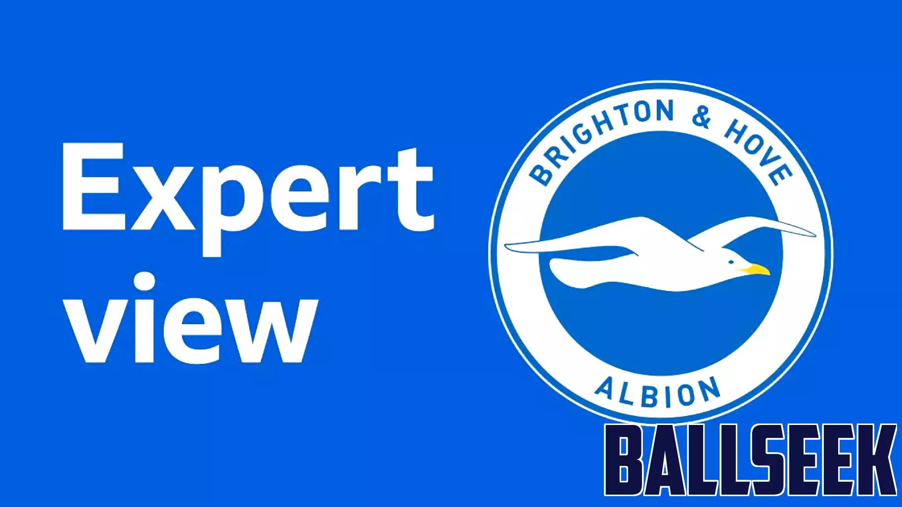 Brighton's Growing Rivalry with Chelsea