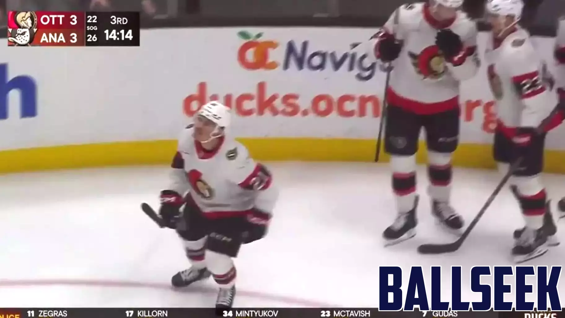 Nick Cousins Shines with a Goal Against Anaheim Ducks