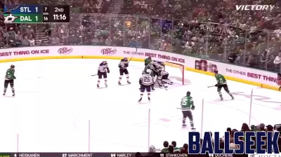 Recap of the Dallas Stars vs. St. Louis Blues Match on December 14, 2024